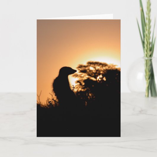 Carte 5 de KMP - coucher du soleil de flavo de (Devant)