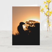 Carte 5 de KMP - coucher du soleil de flavo de (Fleur jaune)