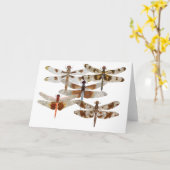 Carte 5 libellules (Fleur jaune)