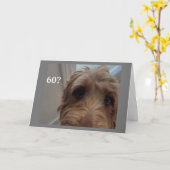 Carte *60e ANNIVERSAIRE* CHIEN CHOQUÉ DIT JEUX ANNIVERSA (Fleur jaune)