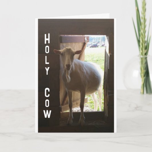 Carte "60e ANNIVERSAIRE ? ? ? NE PEUT JUSTE PAS CROIRE L (Devant)