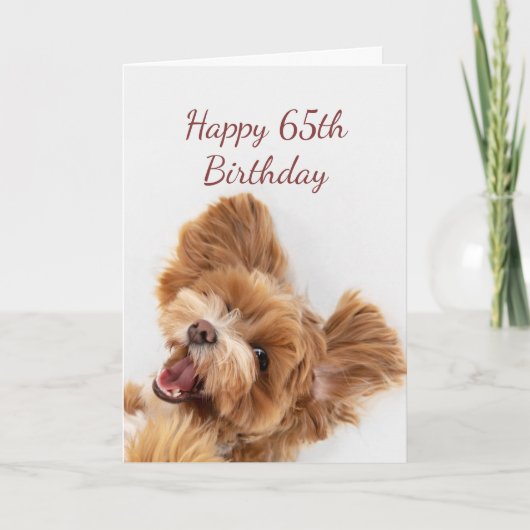 Carte 65e Anniversaire Amusement Commencer mignon Chien (Devant)