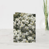 Carte 66e anniversaire modifiable (Dos)