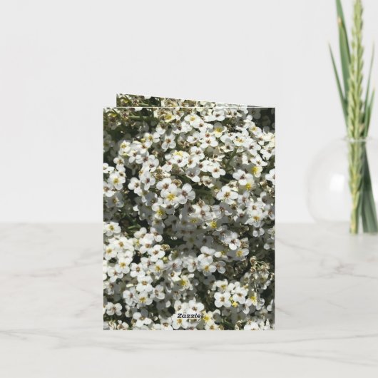 Carte 66e anniversaire modifiable (Dos)