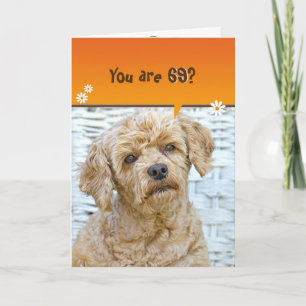 Carte 69e anniversaire brun caniche en osier