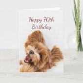 Carte 70e Anniversaire Amusement Commencer mignon Chien  (Devant)
