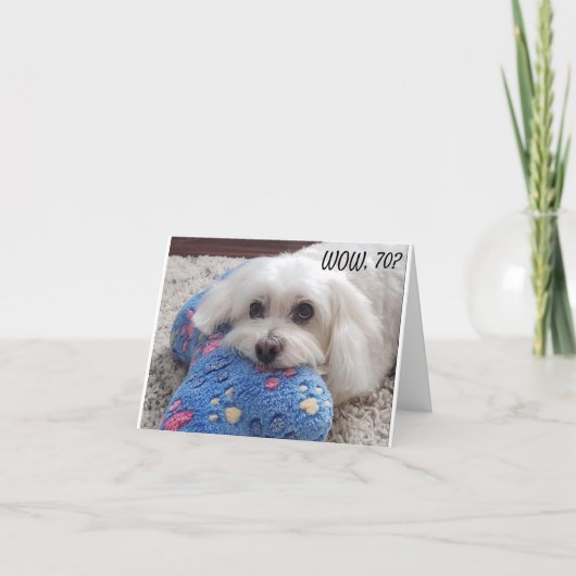 Carte *70e anniversaire* HA HA HA (HUMOUR CHIEN FUNNY) C (Devant)