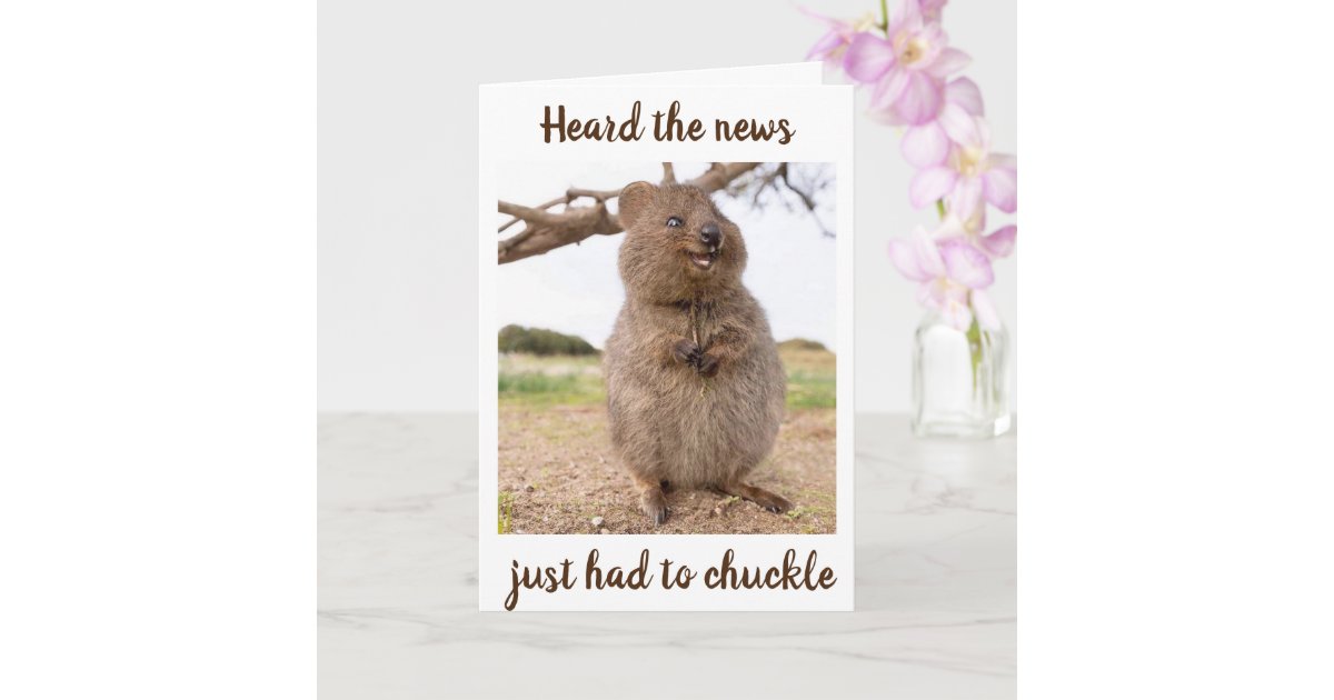 Carte 70e Anniversaire Humour Du Hamster Carte Zazzle Be