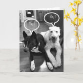 Carte **70e** HUMOUR D'ANNIVERSAIRE DE DEUX POUPES (Fleur jaune)