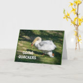 Carte *70e* LES QUACKERS D'ANNIVERSAIRE-NE PEUVENT PAS Ê (Fleur jaune)