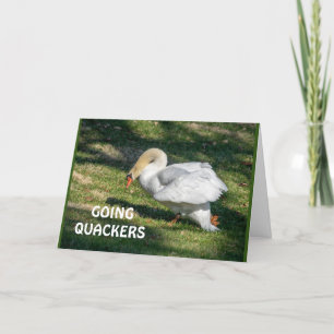 Carte *70e* LES QUACKERS D'ANNIVERSAIRE-NE PEUVENT PAS Ê