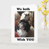 Carte "70ème" SOUHAITS D'ANNIVERSAIRE DES DEUX CHIENS AM (Fleur jaune)