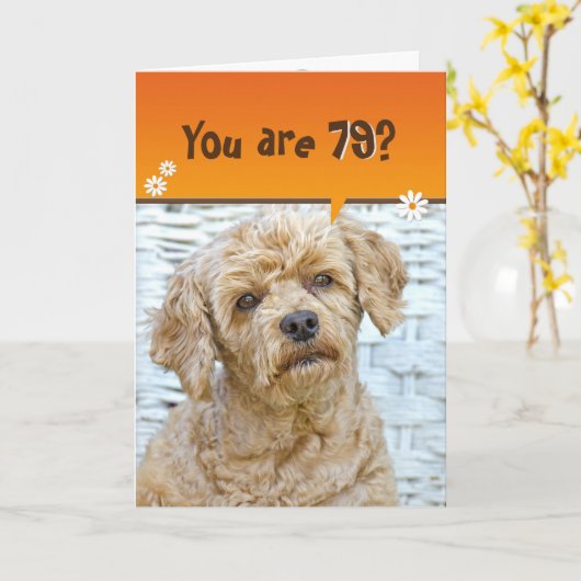Carte 79e anniversaire brun caniche en osier (Fleur jaune)