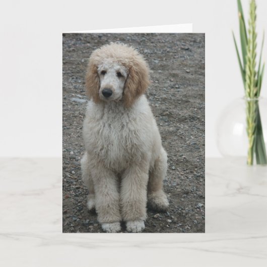 Carte 7 aériens (Devant)