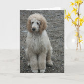 Carte 7 aériens (Fleur jaune)