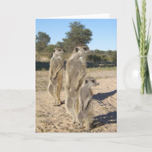 Carte 7 de KMP - Aztèques (Devant)