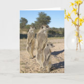 Carte 7 de KMP - Aztèques (Fleur jaune)