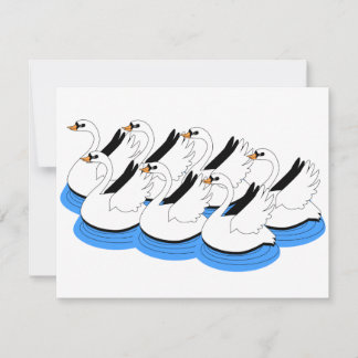 Carte 7 Swans Natation