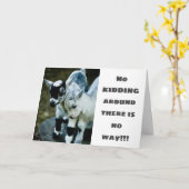 Carte **80ème** SOUHAITE UN "JEUNE ENFANT" (Fleur jaune)