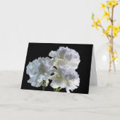 Carte 9515-Oeillets blancs (Fleur jaune)