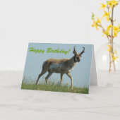 Carte A10 Pronghorn Antelope Walking Threw Wildflowers (Fleur jaune)