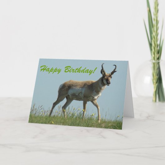 Carte A10 Pronghorn Antelope Walking Threw Wildflowers (Devant)