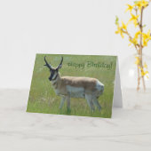 Carte A36 Pronghorn Antelope Big Buck (Fleur jaune)