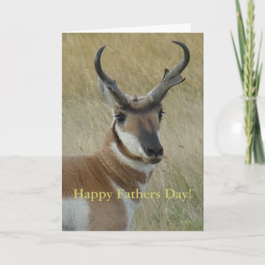 Carte A5 Pronghorn Antelope Head Shot (Devant)