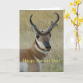 Carte A5 Pronghorn Antelope Head Shot (Fleur jaune)