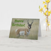 Carte A8 Pronghorn Antelope Big Buck (Fleur jaune)