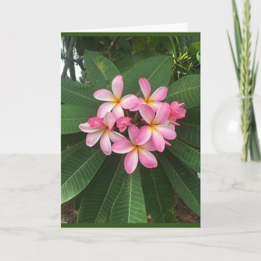 CARTE A * ANNIVERSAIRE SPÉCIAL* POUR UNE * PERSONNE SPÉC (Devant)