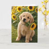 Carte A&B Benny Tournesol (Fleur jaune)