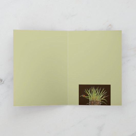 Carte à bec rose/à bec d'herbe (Intérieur)