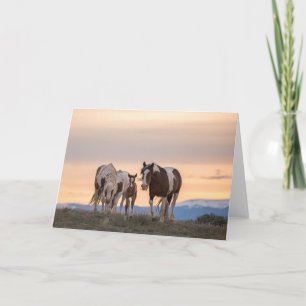 Carte à billets "Bienvenue dans le monde"