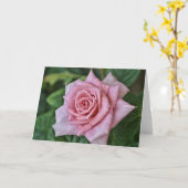 Carte à billets florales complète Rose Rose Bloomi (Fleur jaune)