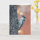 Carte à billets vierges Downy Woodpecker (Fleur jaune)