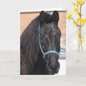 Carte A Black Beauty (Fleur jaune)