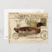 Carte à canard vintage (Devant / Derrière)