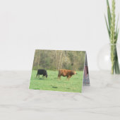 carte à cheval (Dos)