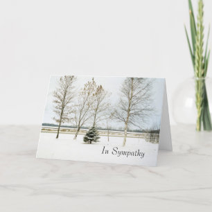 Carte à feuillage persistant1card enneigée, En Sympathie
