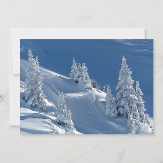 Carte À feuillage persistant arbres couverts de neige hi (Devant)