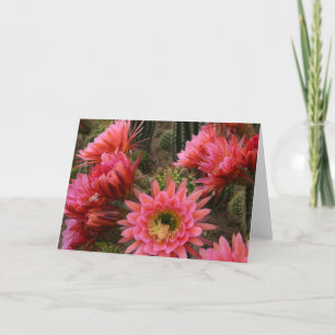 Carte à fleur Cactus