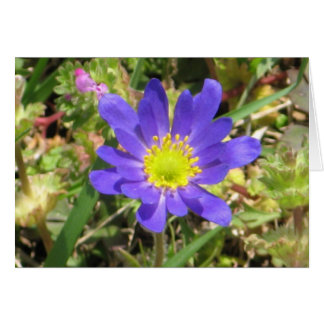 Carte à fleurs bleues