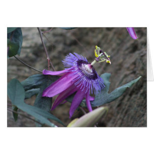 Carte à fleurs de passion