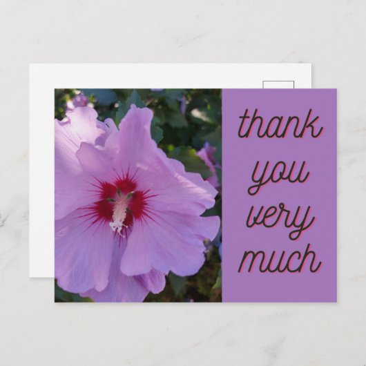 Carte à fleurs Hibiscus rose Merci (Devant / Derrière)