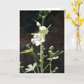 Carte à fleurs Hollyhocks (Fleur jaune)