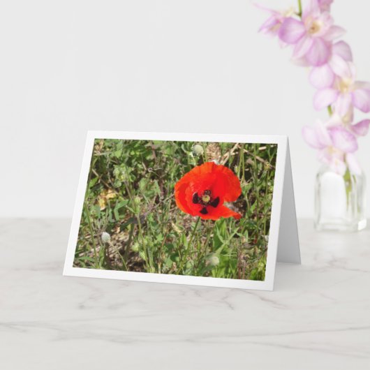 Carte à fleurs Red Poppy (Orchidée)