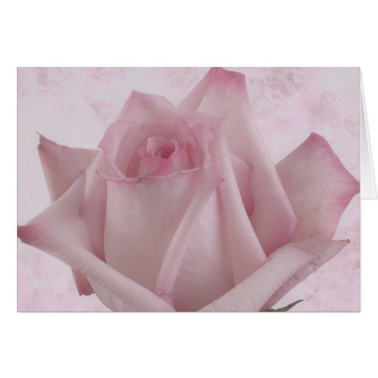 Carte à fleurs rose douce (Devant horizontal)