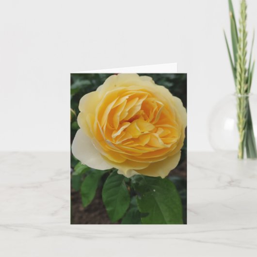Carte à fleurs rose jaune (Devant)