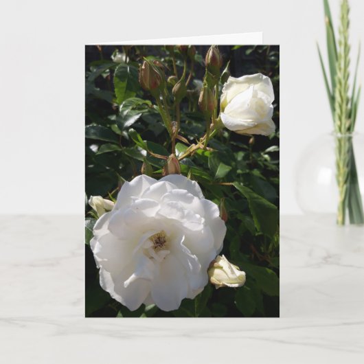 Carte à fleurs roses (Devant)